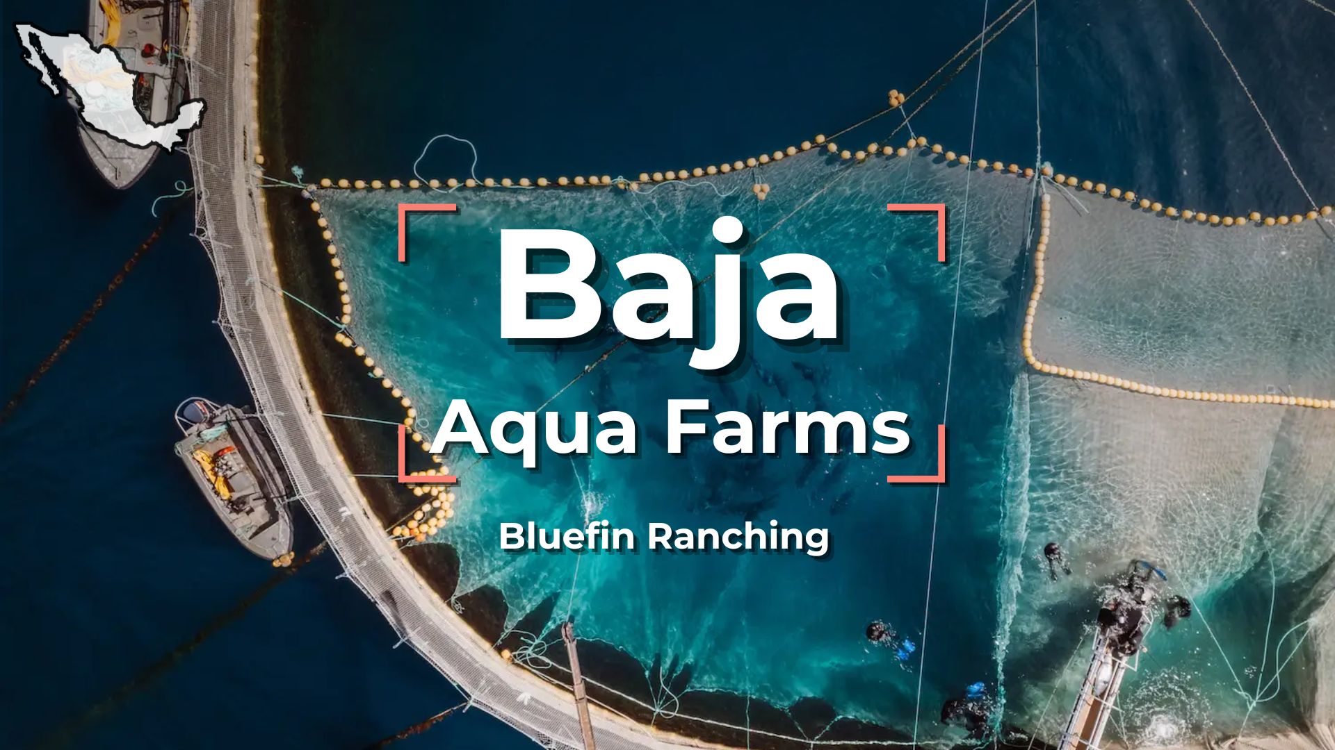 Baja Aqua Farms